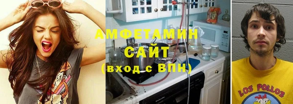 ГАЛЛЮЦИНОГЕННЫЕ ГРИБЫ Горняк